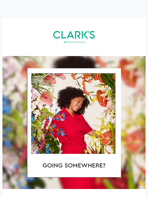 clarksbotanicals newsletter: What’s in Our Vacation Bag?