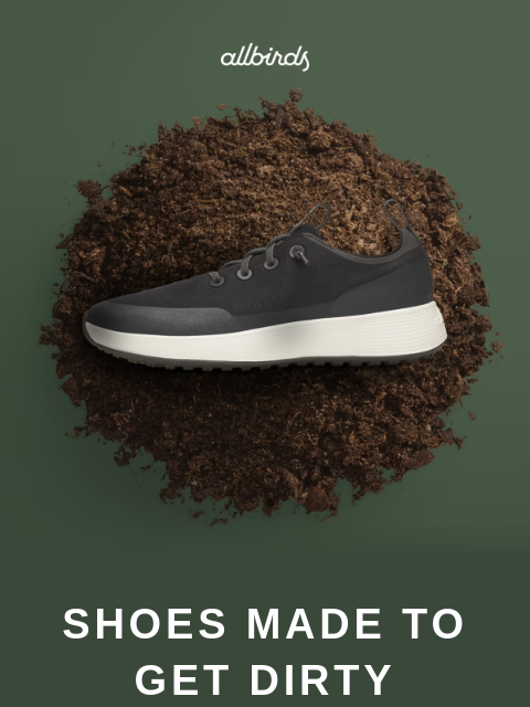allbirds newsletter: Bestselling Sneakers In A NEW Color