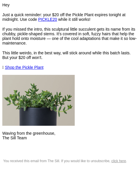thesill newsletter: Big Dill: $20 Off Ends Today