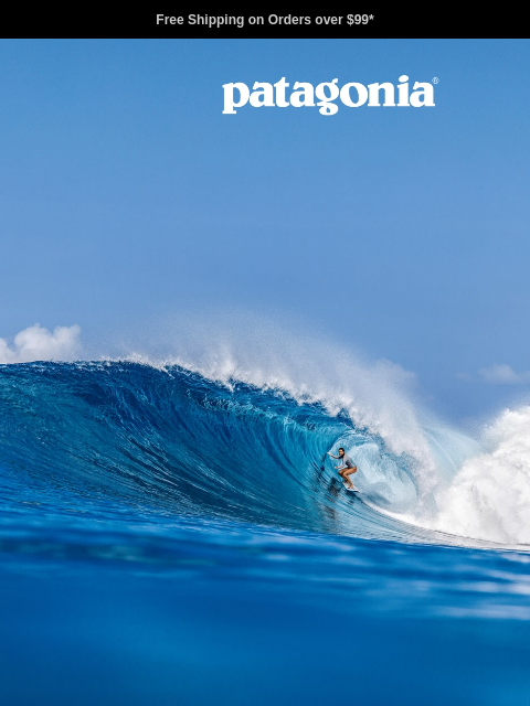 patagonia newsletter: When it’s new, we’ll text you