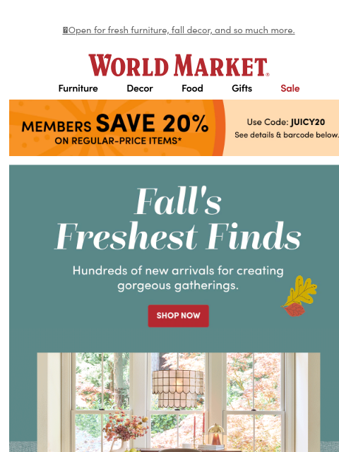 emailworldmarket newsletter: 20% off! (Psst… includes NEW ARRIVALS!) 🤗