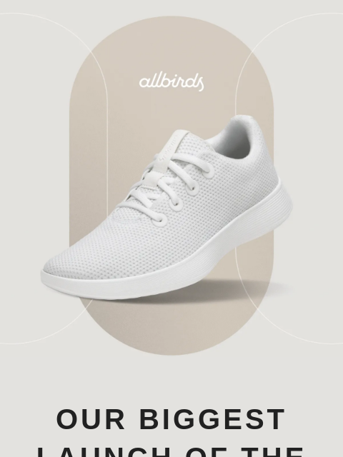 allbirds newsletter: NEW. COMFY. SHOE. DROP.
