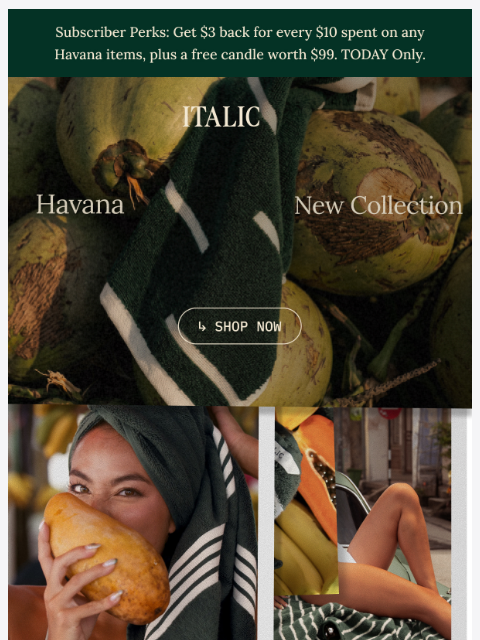 italic newsletter: Meet the NEW Havana Collection