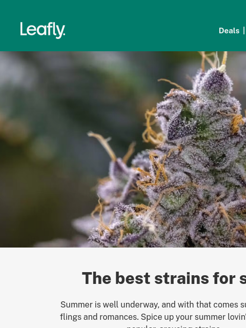 11 arousing strains for your summer romance‌ ‌ ‌ ‌ ‌ ‌ ‌ ‌ ‌ ‌ ‌ ‌ ‌ ‌ ‌ ‌ ‌ ‌ ‌ ‌ ‌ ‌ ‌ ‌ ‌ ‌ ‌ ‌ ‌ ‌ ‌ ‌ ‌ ‌ ‌ ‌ ‌ ‌ ‌ ‌ ‌ ‌ ‌ ‌ ‌ ‌ ‌ ‌ ‌ ‌ ‌ ‌ ‌ ‌ ‌ ‌ ‌ ‌ ‌ ‌ ‌ ‌ ‌ ‌ ‌ ‌ ‌ ‌ ‌ ‌ ‌ ‌ ‌ ‌ ‌ ‌ ‌ ‌ ‌