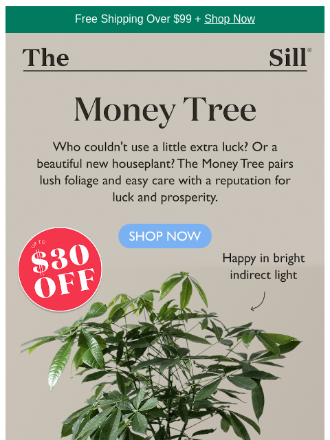 thesill newsletter: Feeling lucky?