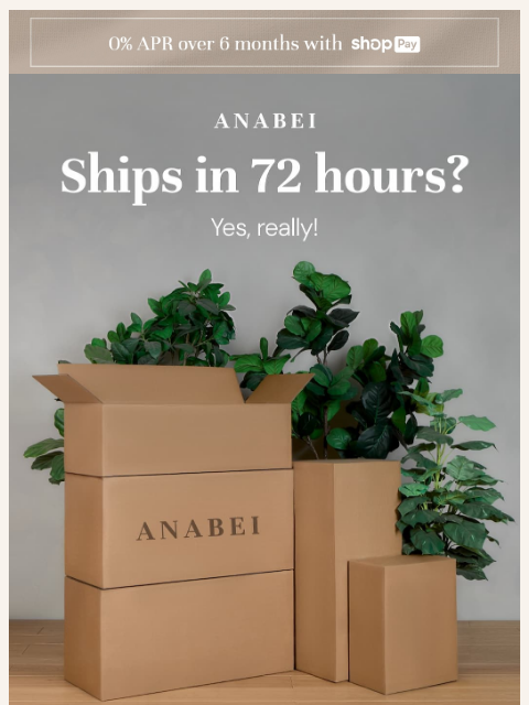 anabei newsletter: ⚡ 72 Hour Shipping is here ⚡