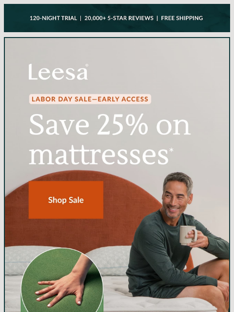 leesasleep newsletter: Psst. Labor Day savings started early