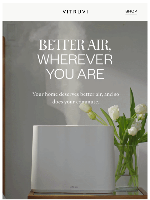 vitruvi newsletter: FREE Drive Diffuser With Every Cloud Humidifier ☁️