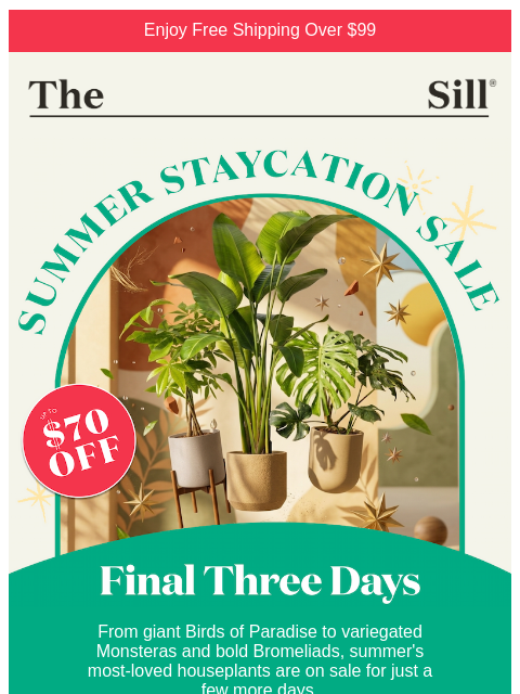 thesill newsletter: Final three days! ✨