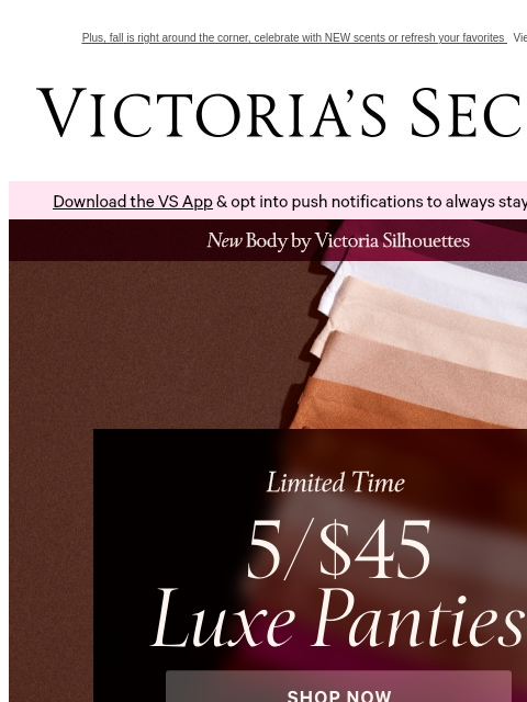 victoriassecret newsletter: Supersoft Fabrics & Chic Details—5/$45 Panties