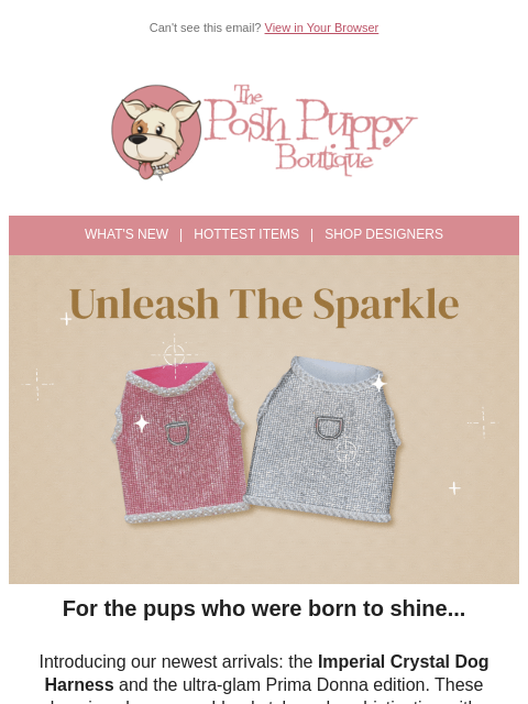 poshpuppyboutique newsletter: 💎 NEW: Crystal Glamour for Your Pup’s Walks