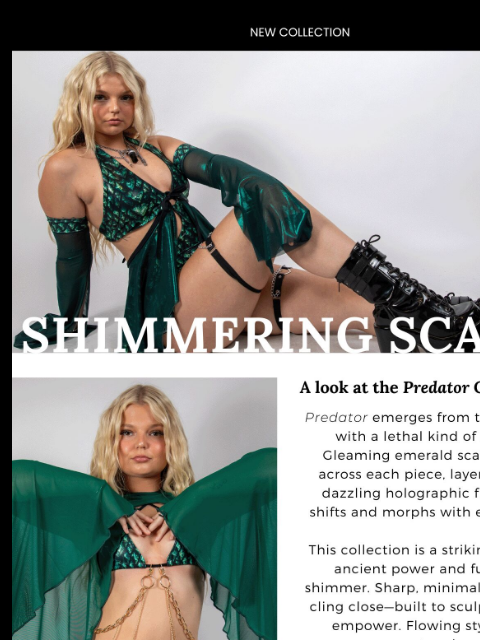 freedomravewear newsletter: Shimmering Scales