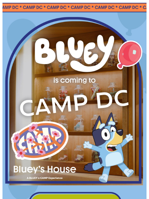 camp newsletter: BIG NEWS: Bluey’s House is coming to DC!