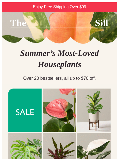 thesill newsletter: ENDS TOMORROW