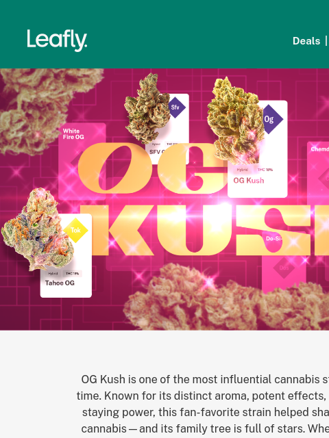 leafly newsletter: The house that OG Kush built 👑
