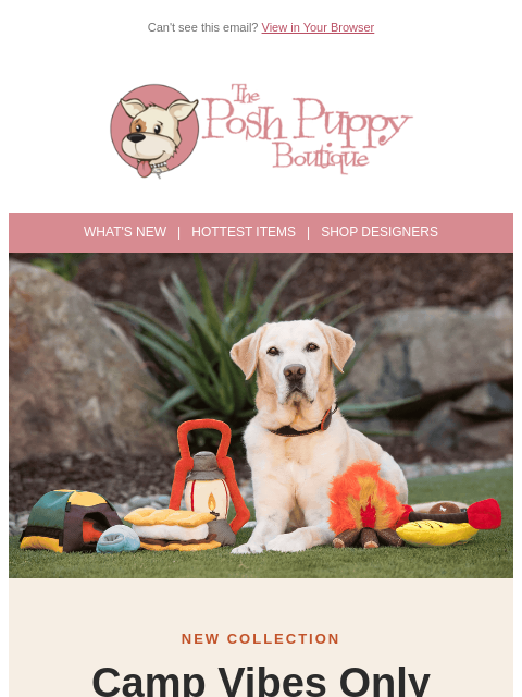 poshpuppyboutique newsletter: Camp Vibes Only 🏕️ New Outdoor Gear for Your Pup