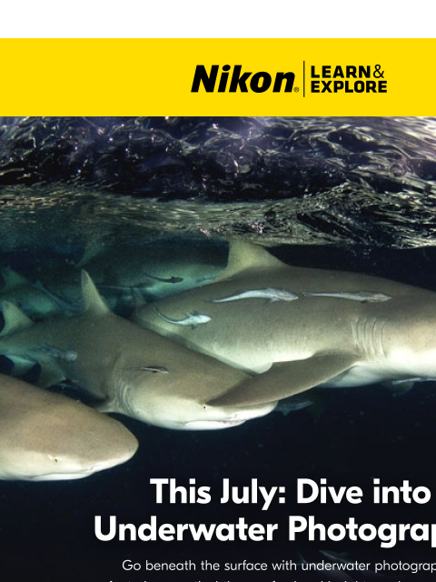 nikon newsletter: Dive Into Underwater Photography