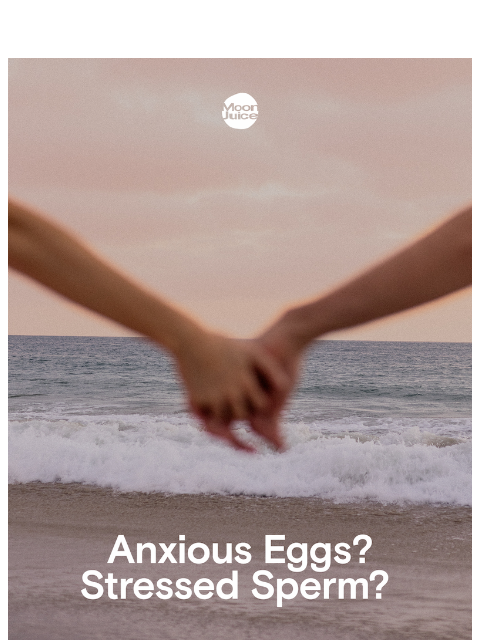 moonjuice newsletter: holistic fertility 101