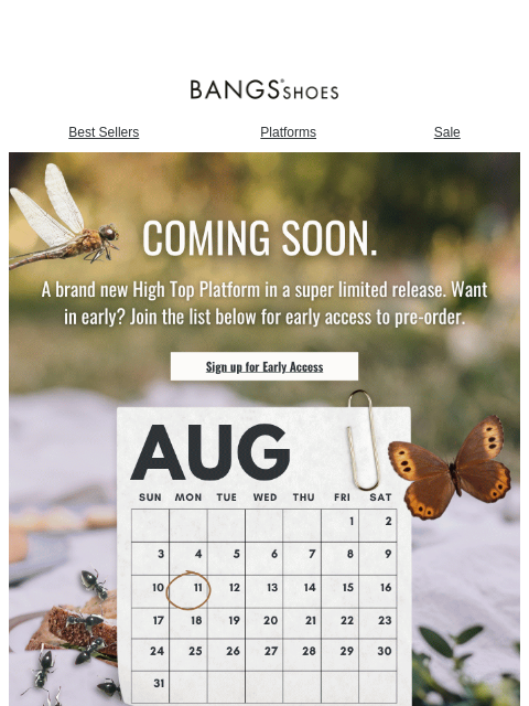 bangsshoes newsletter: Bring your inner explorer to life... 🐞🐛🦋