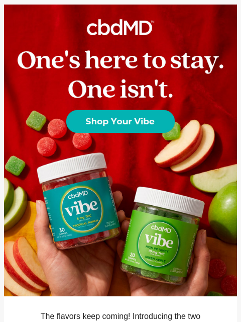 cbdmd newsletter: More New Flavors!