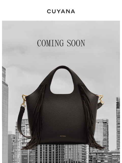 cuyana newsletter: New Bags for Fall