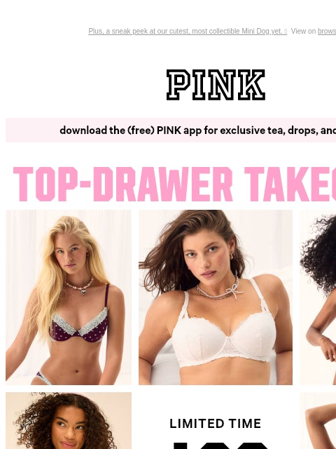 vspink newsletter: Support Re-Up: $30 PINK Bras