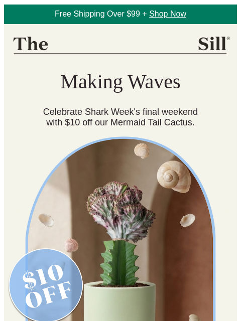 thesill newsletter: Wonderfully weird (and $10 off)