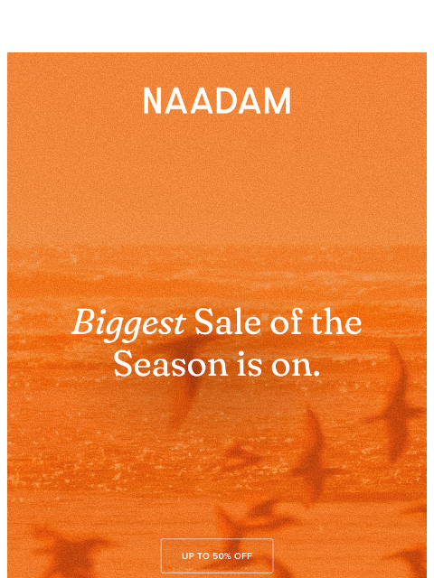 naadam newsletter: The sale everyone's shopping...