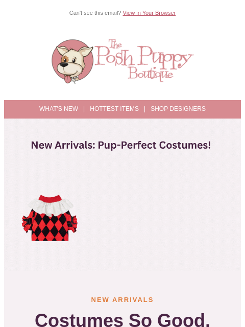 poshpuppyboutique newsletter: Boo! New Halloween Costumes Just Arrived 🎃