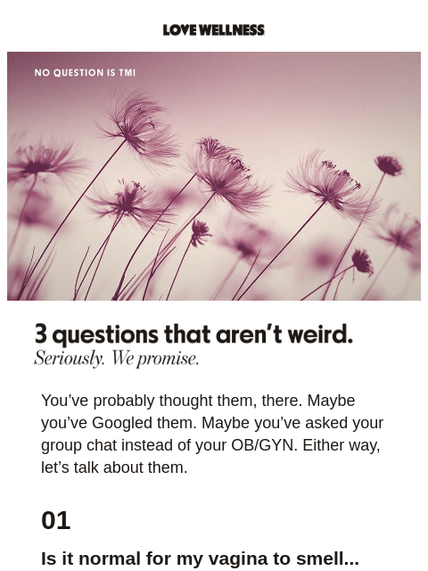 lovewellness newsletter: No question is TMI
