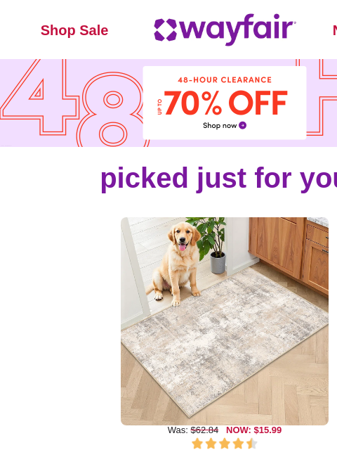 wayfair newsletter: AREA RUGS ⏱️ 🔔 48-HOUR CLEARANCE STARTS NOW 🔔 ⏱️...