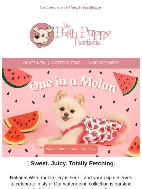 poshpuppyboutique newsletter: You're Gonna Melon Over This 🍉