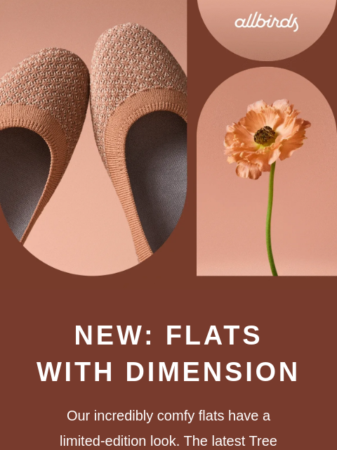 allbirds newsletter: Favorite Flats In A NEW Pattern