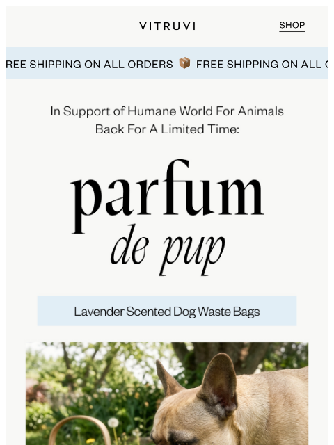 vitruvi newsletter: Back For A Limited Time! Lavender Dog Bags 🐕