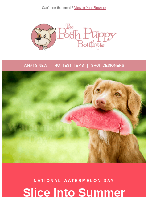 poshpuppyboutique newsletter: It's National Watermelon Day! 🍉