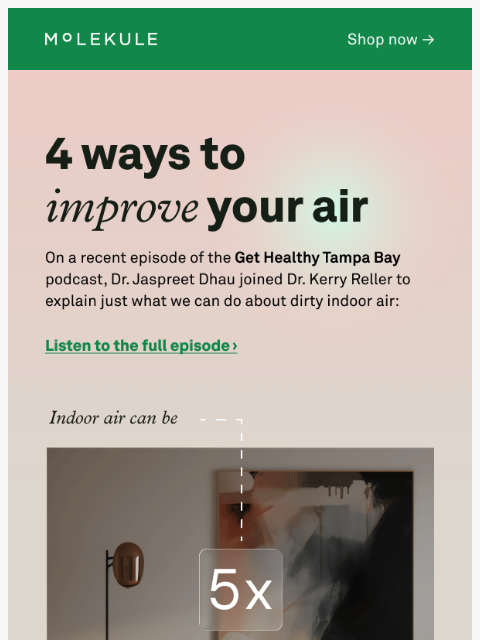 molekule newsletter: 4 Steps to Healthier Indoor Air