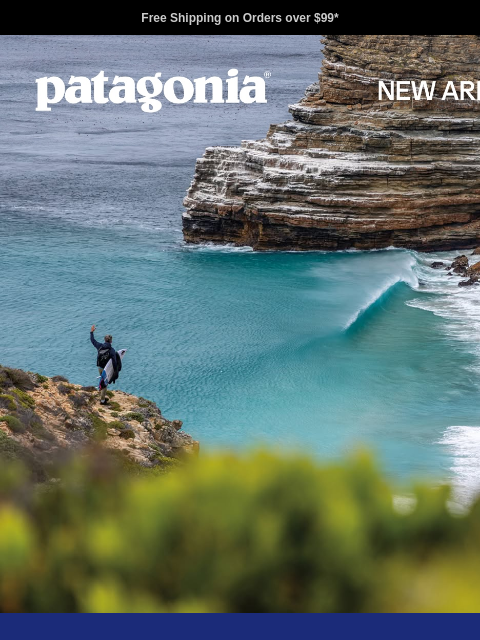 patagonia newsletter: New fall styles have landed
