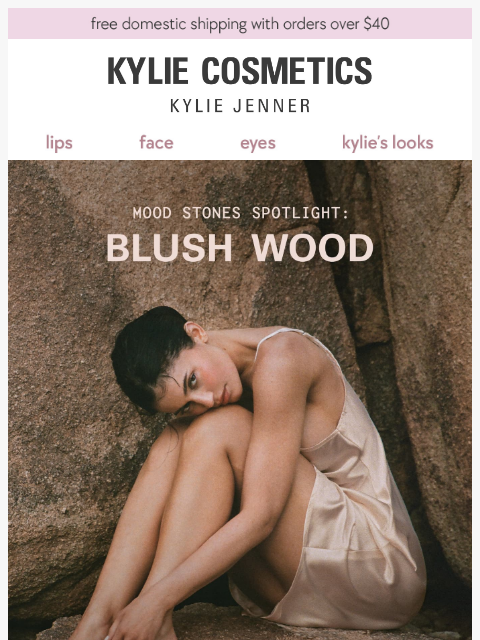 kyliecosmetics newsletter: get to know blush wood 🩷