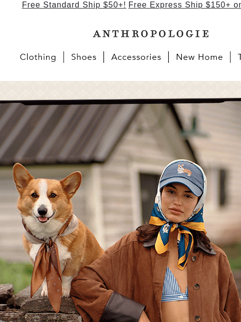 anthropologie newsletter: unleash maeve’s fall '25 collection 🐩