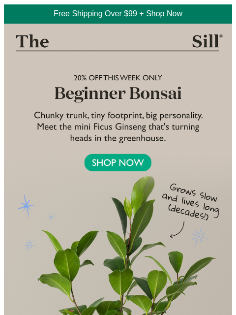 thesill newsletter: Always wanted a bonsai? Start here.
