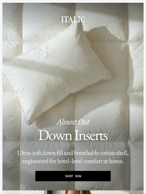 italic newsletter: Almost Gone: Premium Down Bedding
