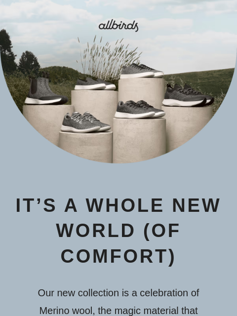 allbirds newsletter: NEW MERINO WOOL COLLECTION!