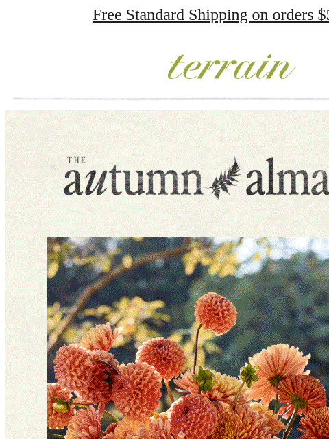 shopterrain newsletter: 🍂  THE AUTUMN ALMANAC: FALL SHOP IS OPEN 🍂