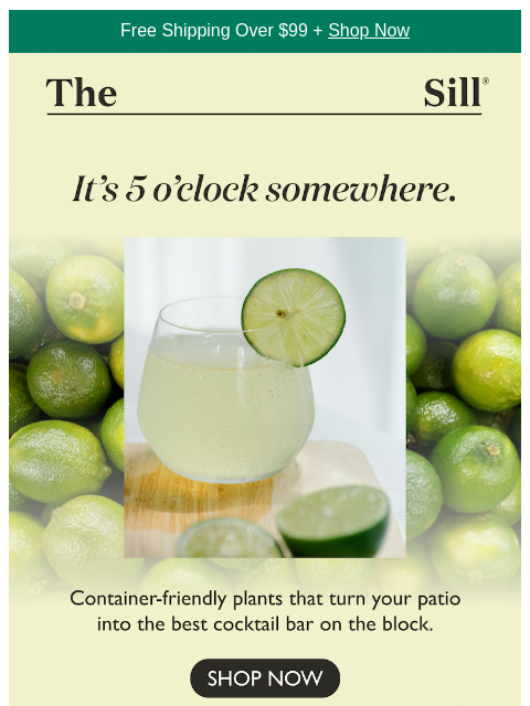 thesill newsletter: Is it 5 o'clock yet? 🍸
