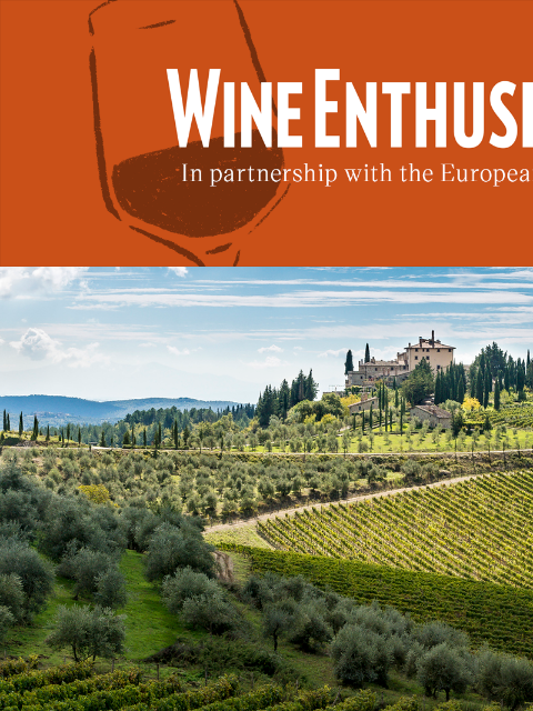 wineenthusiast newsletter: Sip the Tradition: European Wines with a Story
