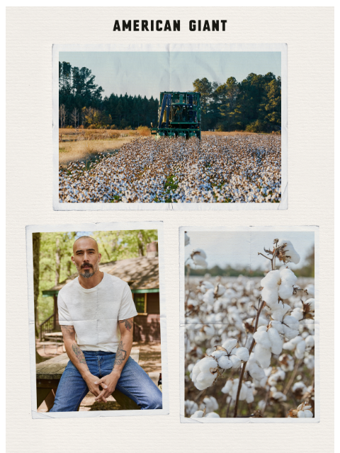 american-giant newsletter: The Long Read: The Premium Slub