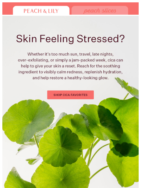 peachandlily newsletter: Too much summer?