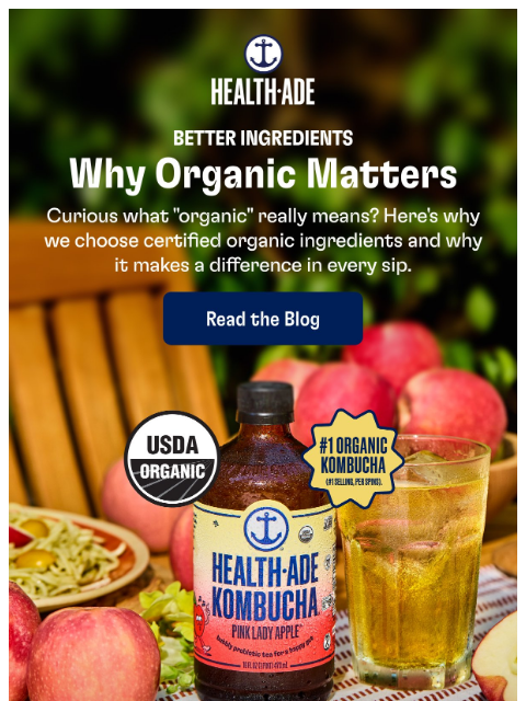 health-ade newsletter: Not all kombucha is created equal