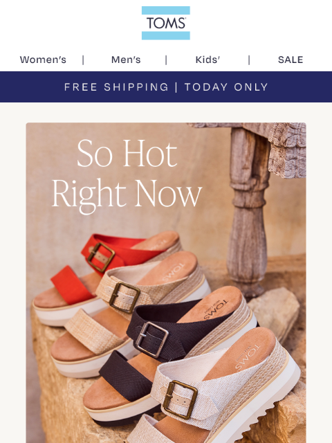 toms newsletter: Inside: Late Summer Essentials
