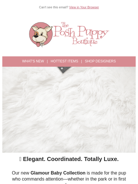 poshpuppyboutique newsletter: Luxury Looks for Your Little Glam Baby 💖🖤